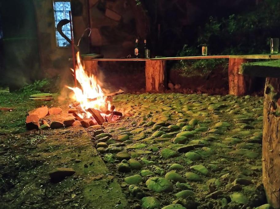 Întorsura Buzăului Cabanitaヴィラ エクステリア 写真