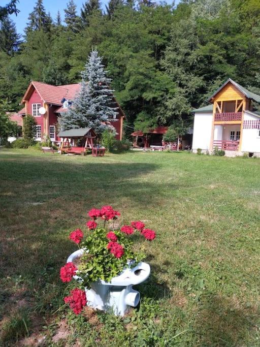 Întorsura Buzăului Cabanitaヴィラ エクステリア 写真