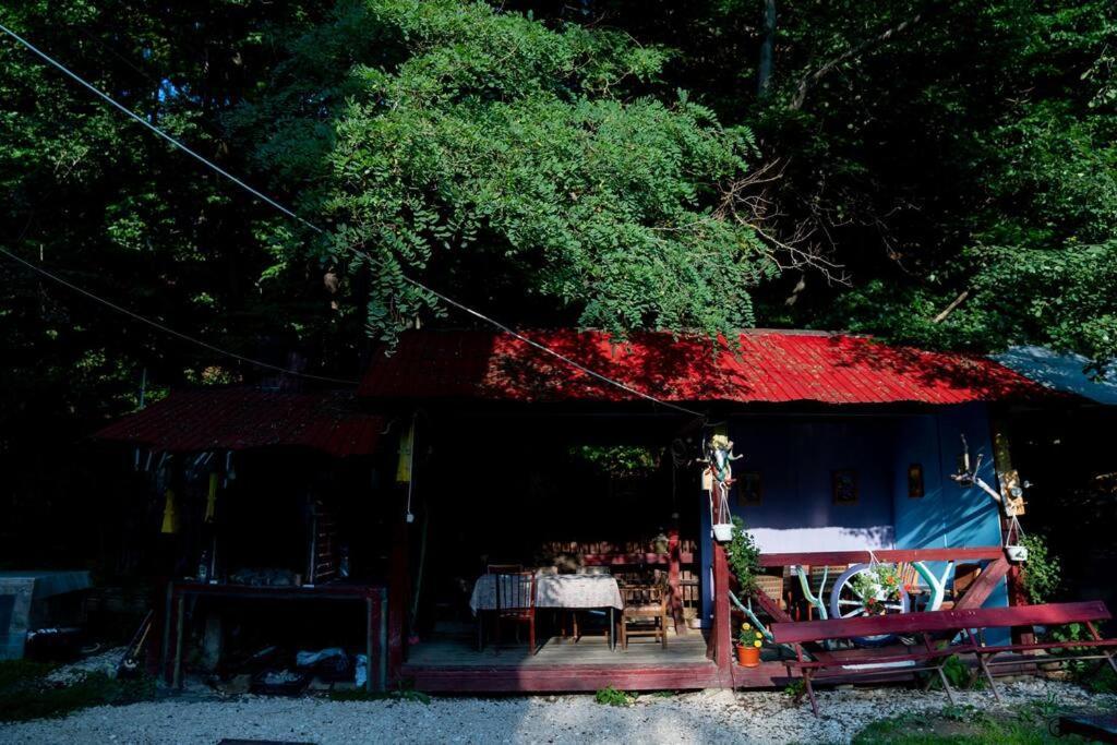 Întorsura Buzăului Cabanitaヴィラ エクステリア 写真