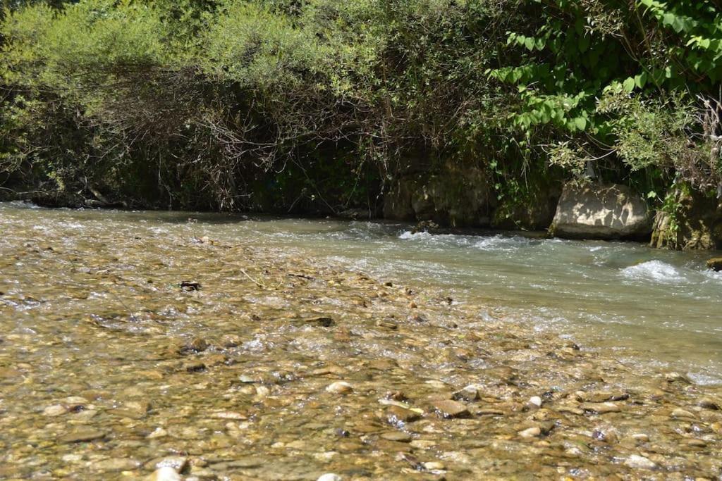 Întorsura Buzăului Cabanitaヴィラ エクステリア 写真